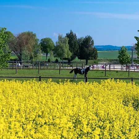 Motel-residence O Pied A Terre 3*