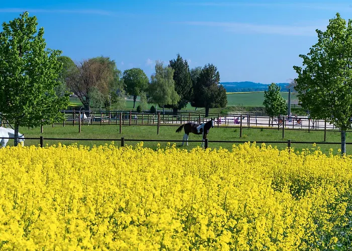 Motel-residence O Pied A Terre 3*